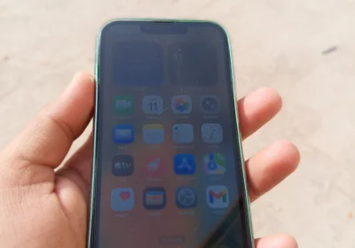 86113a8c-ce32-4c65-bbea-0a9dadc04dc7