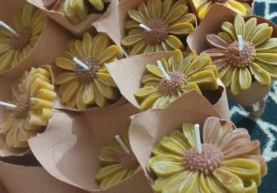 8971b797-7eb2-418d-9d1c-af25bbcc62b9