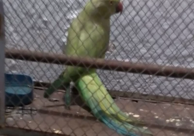 89a59e6c-798f-4645-b1ae-c744baefcaf0