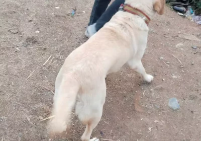 8af41ac7-85b8-46c7-af44-3f79feacae6a