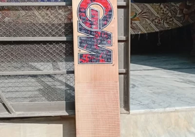 8e6b16f4-b881-4696-b1f7-1b0c3f32dc89