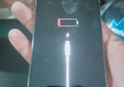 960c1dfe-5bd6-4c3f-9893-81fb837e20c3