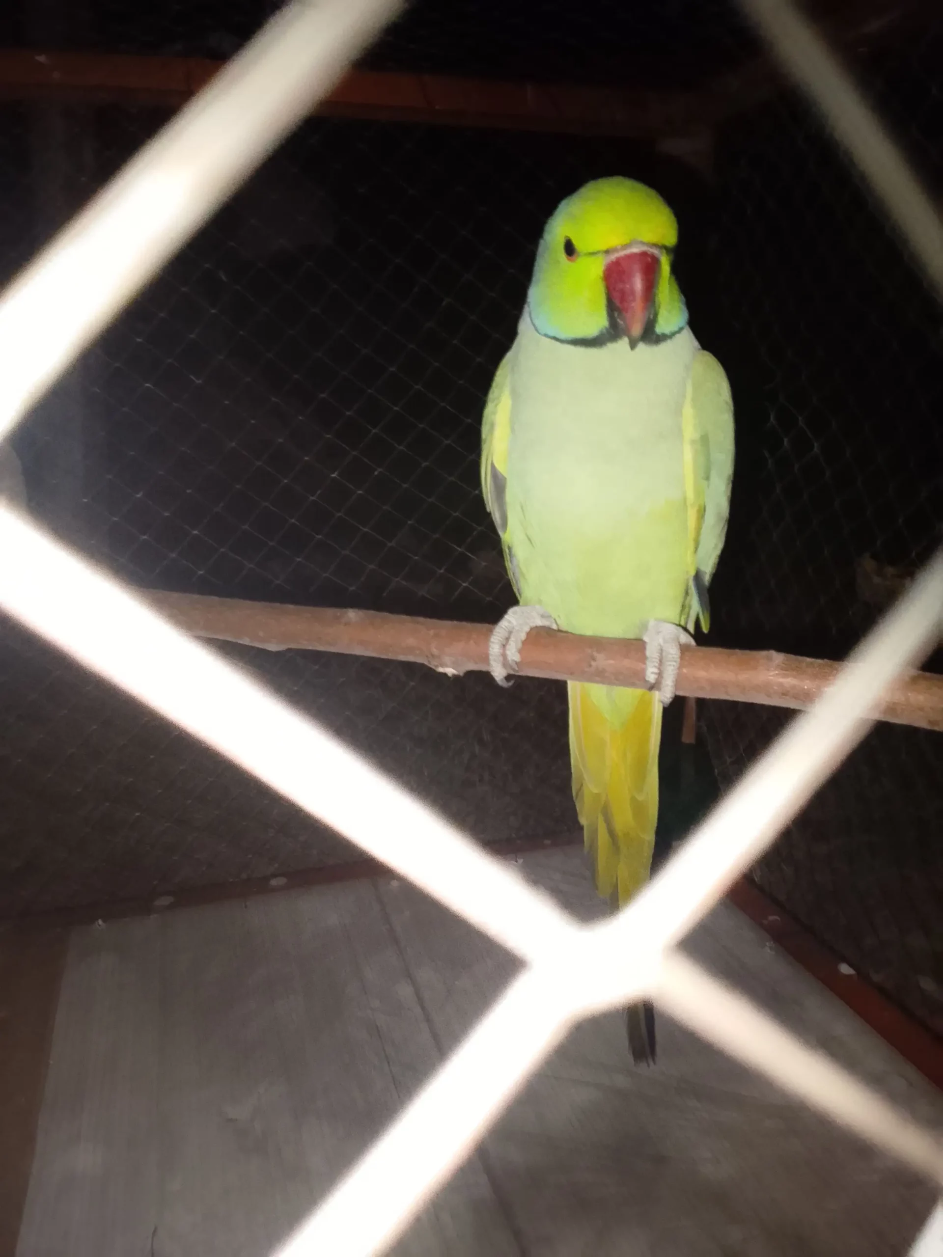 Inshallah munaseb price per milega inshallah zaror