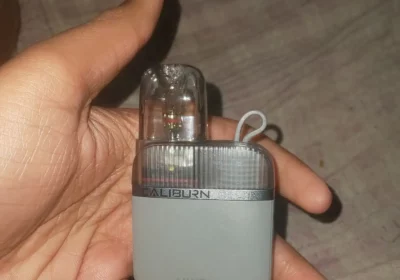 9b54e4ec-04ac-44aa-a679-5310430f1891