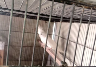 9d462aa6-ebb4-4ef1-b84e-fc119d2f1978