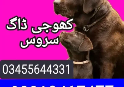 FB_IMG_17231852039794207-2