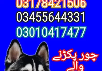 FB_IMG_17255238901728847-2