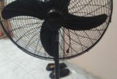 Pedestal fan
