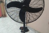 Pedestal fan