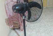 Pedestal fan