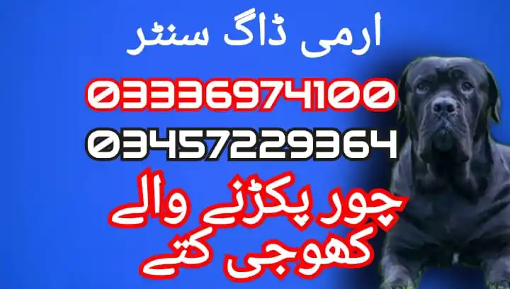 Army dog center 03336974100_03336974100