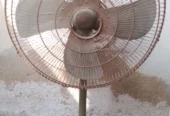 GFC pedestal/stand fan 24