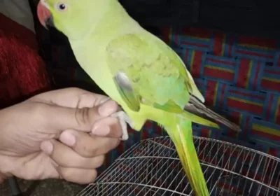 WhatsApp-Image-2026-01-17-at-7.54.49-PM