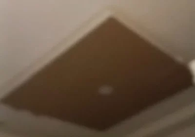 a1fd2d0f-db3c-45f6-a031-f4ff8dc930c8