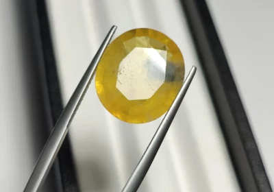 a7809483-2f7c-4bdd-a89c-6b962c55ef3a