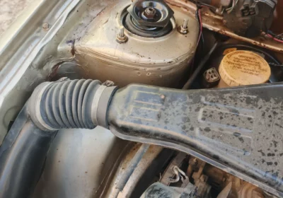 aea402b6-51ae-43a5-9cf3-1c642453eea0