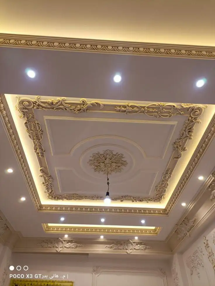 Home Designs fallcelling