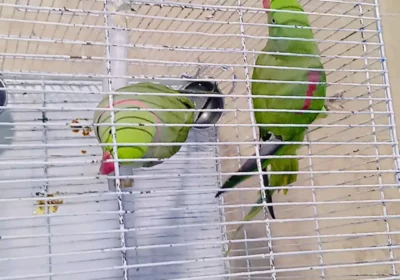 b12ad0d0-05c5-4a32-9d41-d6b620371a54