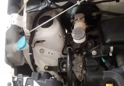 b1dc2538-89b0-4e1e-bd2d-05662c3022a5