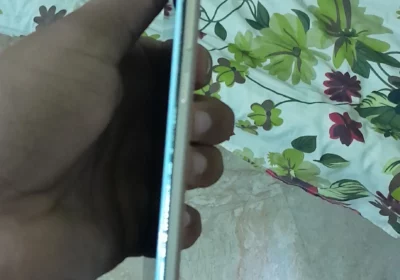 b6d70392-f95e-4912-8ac3-dcf85355e0f4