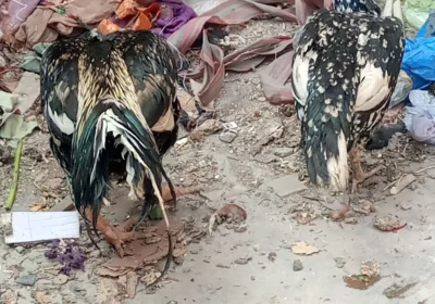 b7b1d896-63f6-4b6b-a3a9-ff44d72ef490