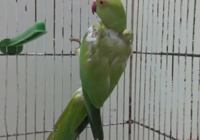 b89cd59c-37a4-450b-8666-07a3af1308d4