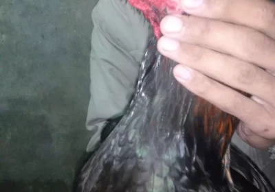 bbd62ae4-3020-4348-aaa8-e49591c3e441