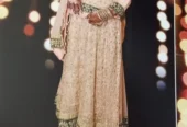Heavy walima bridal Maxi