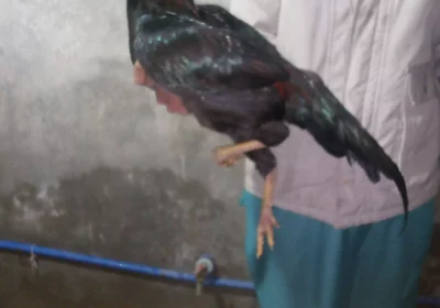 c49e4122-7647-4fcb-93bd-c1f6ecb3a601-1