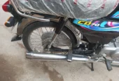 Honda CD 70 2024 model black color good condition