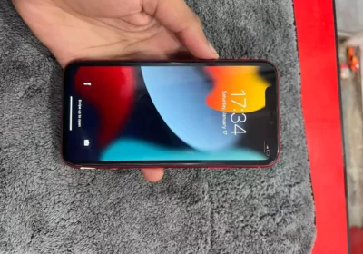 d036b9ef-4b6d-43e3-9b67-3760f41c5074