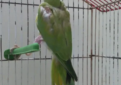 d1b245f1-cd96-407d-92c0-649261c80e7b