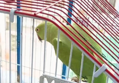 d3546d71-f4db-4872-b94b-13762edd6061