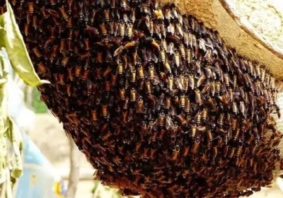 d4f7f140-0f0e-44af-9ac7-a619632e33be