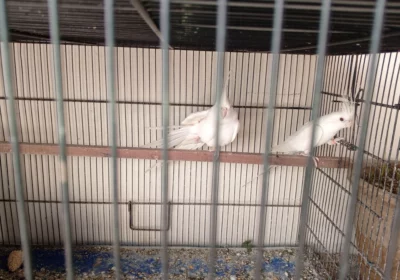 d7f57a92-6a62-4089-bb1a-9ab1b8b5bdd5