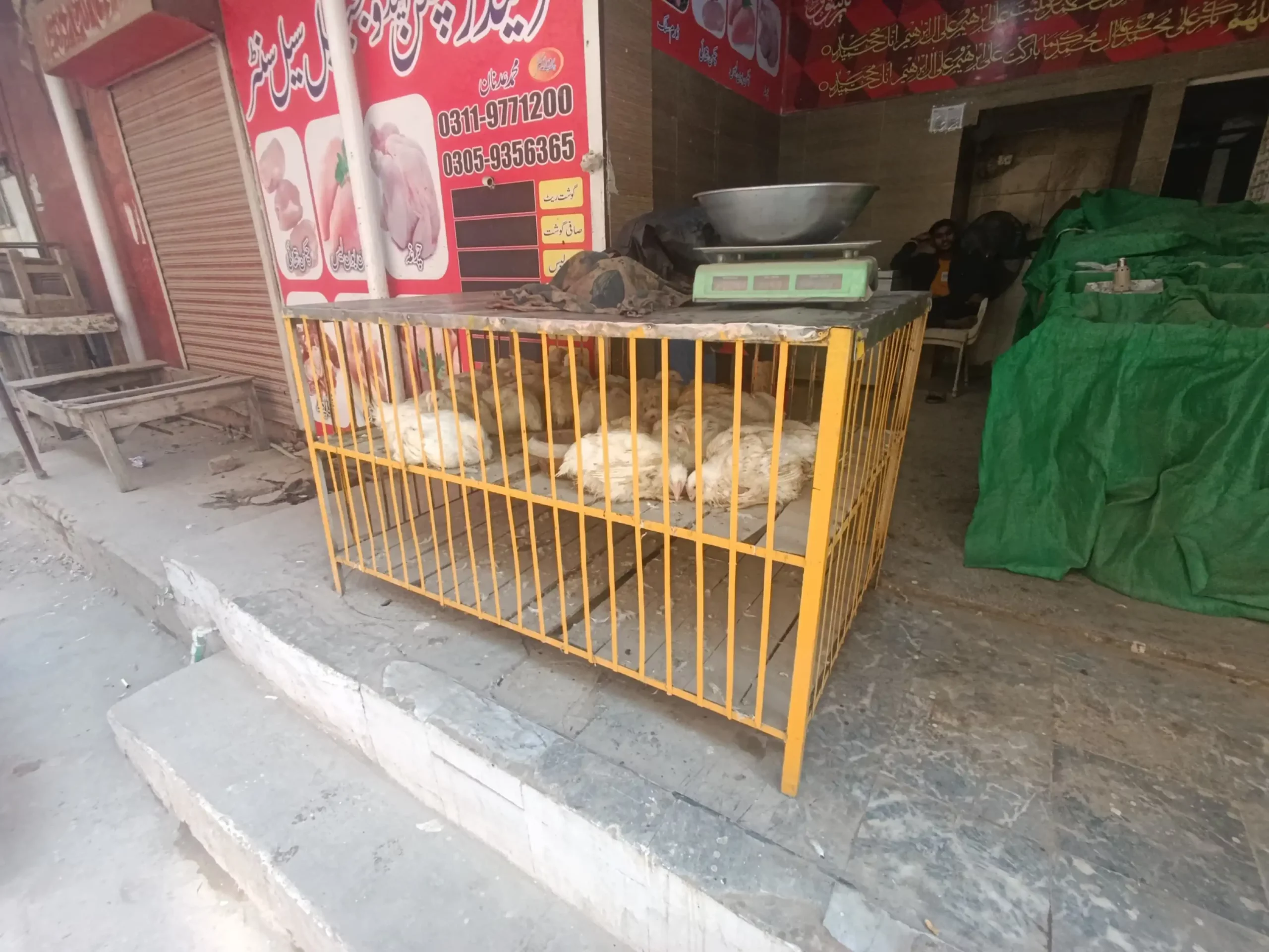 Chicken and vegetable