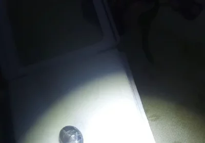 d9585816-72dd-46c9-a0db-b6728361fee1