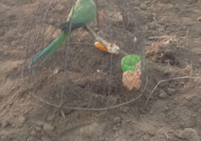 dd4ec48e-52b3-4ccf-aa3b-81ef97815f82