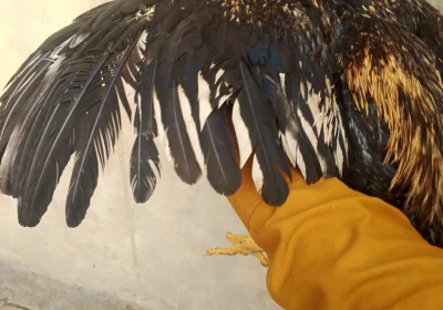 e07c4901-4a0c-4f0a-837f-081b49987b31