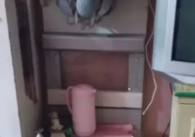 e42c1138-a524-452d-87fa-caf1f2c0b89f