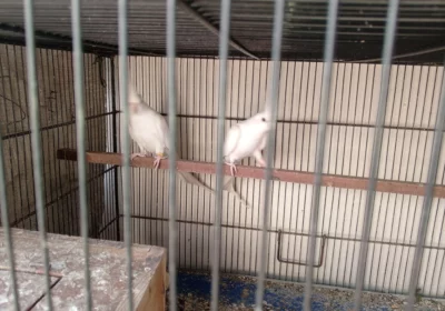 e5b1acd6-6d24-43b8-ad6a-8d16a47f4141