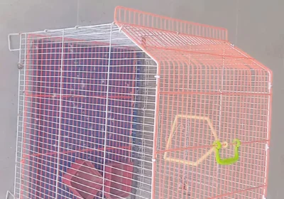 ec5e1035-3e9a-4374-85ad-9ef8d640052c