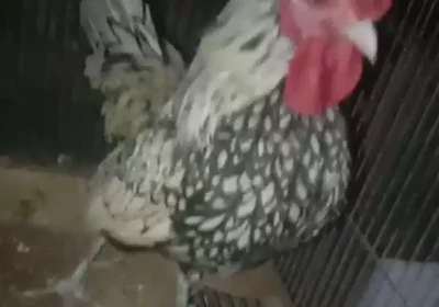 ef7bd07b-21a3-4a41-bf1b-d7c8bb0f3737