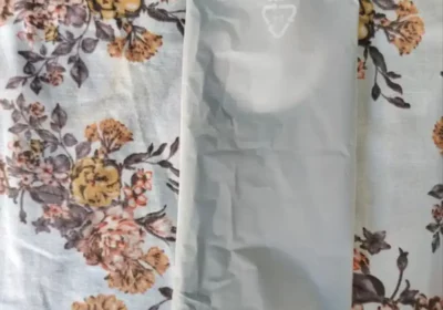 f29a9919-c74e-485e-a1f0-020667690499