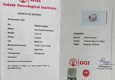 f3e7cf15-0c78-425b-a2ef-96e8e50ae702