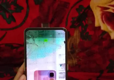 f56a020c-b44b-4e18-bb13-6680a34e110b