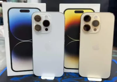 f8e7f81a-5caf-4881-b97b-f6a15f778a14