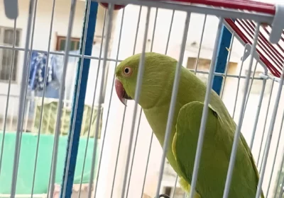 f9b10f1f-84c2-498b-9ce0-5065a2ecc8f0