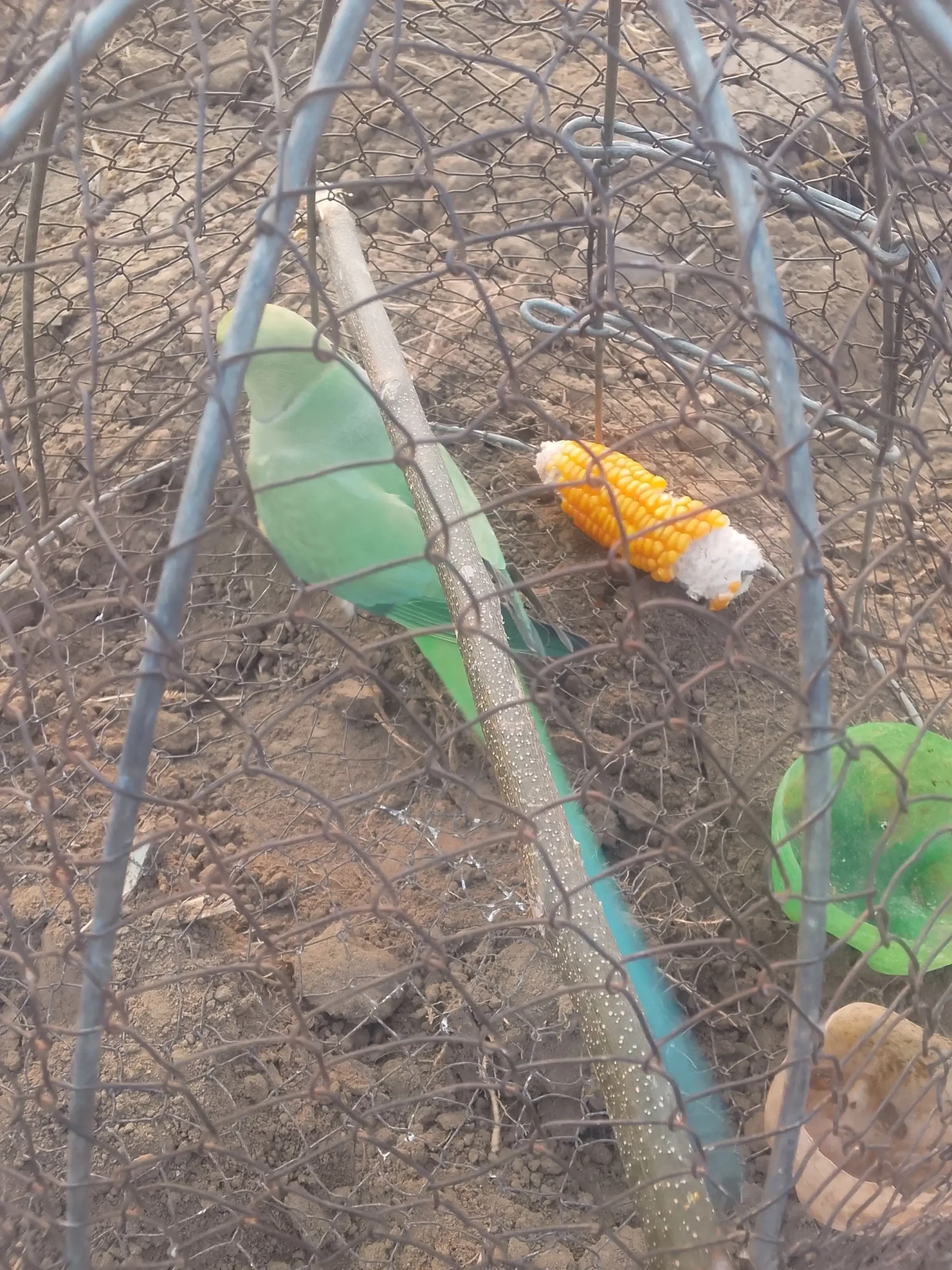 Inshallah munaseb price per milega inshallah zaror