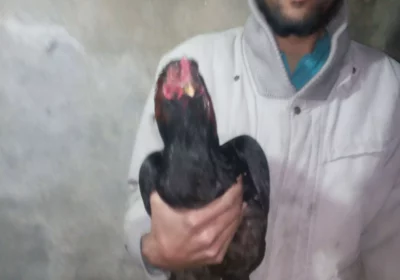 faf47710-6dfd-46fc-a7ec-d76eaf5810d6-1